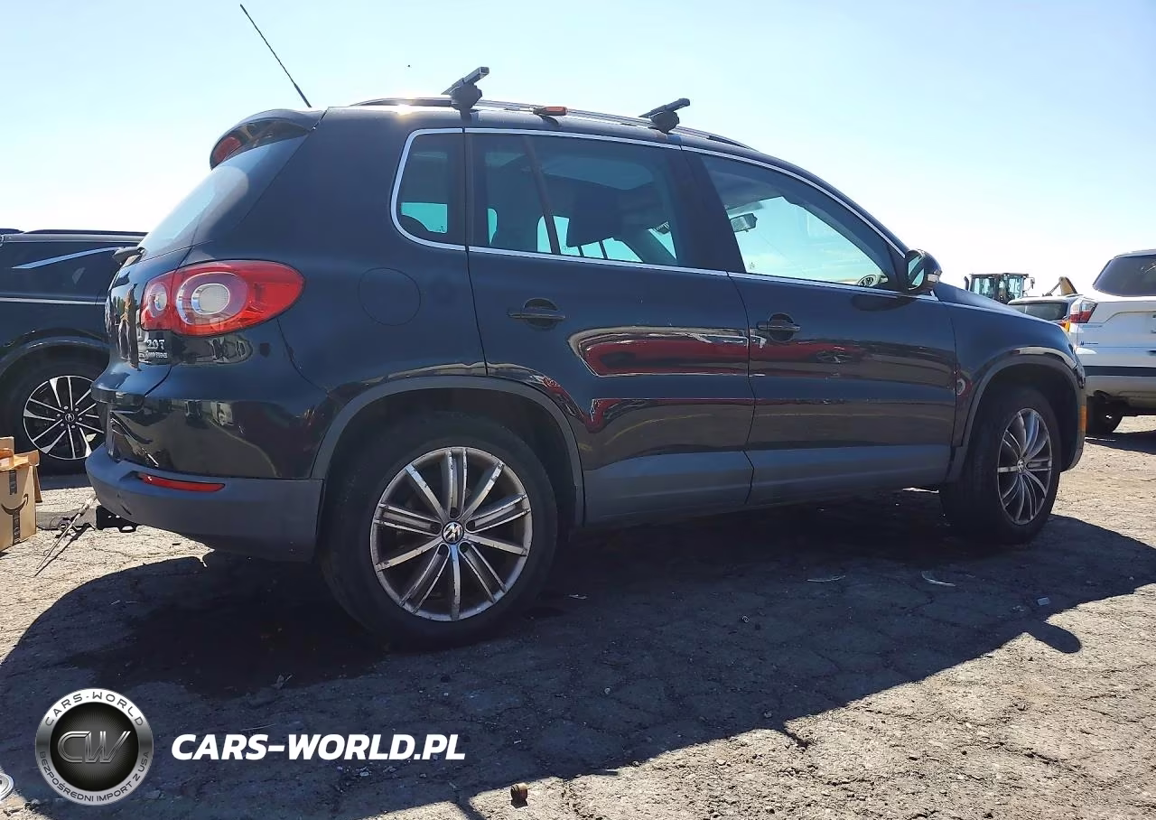 2010 Volkswagen Tiguan Se VIN:WVGBV9AX5AW510123 - 3