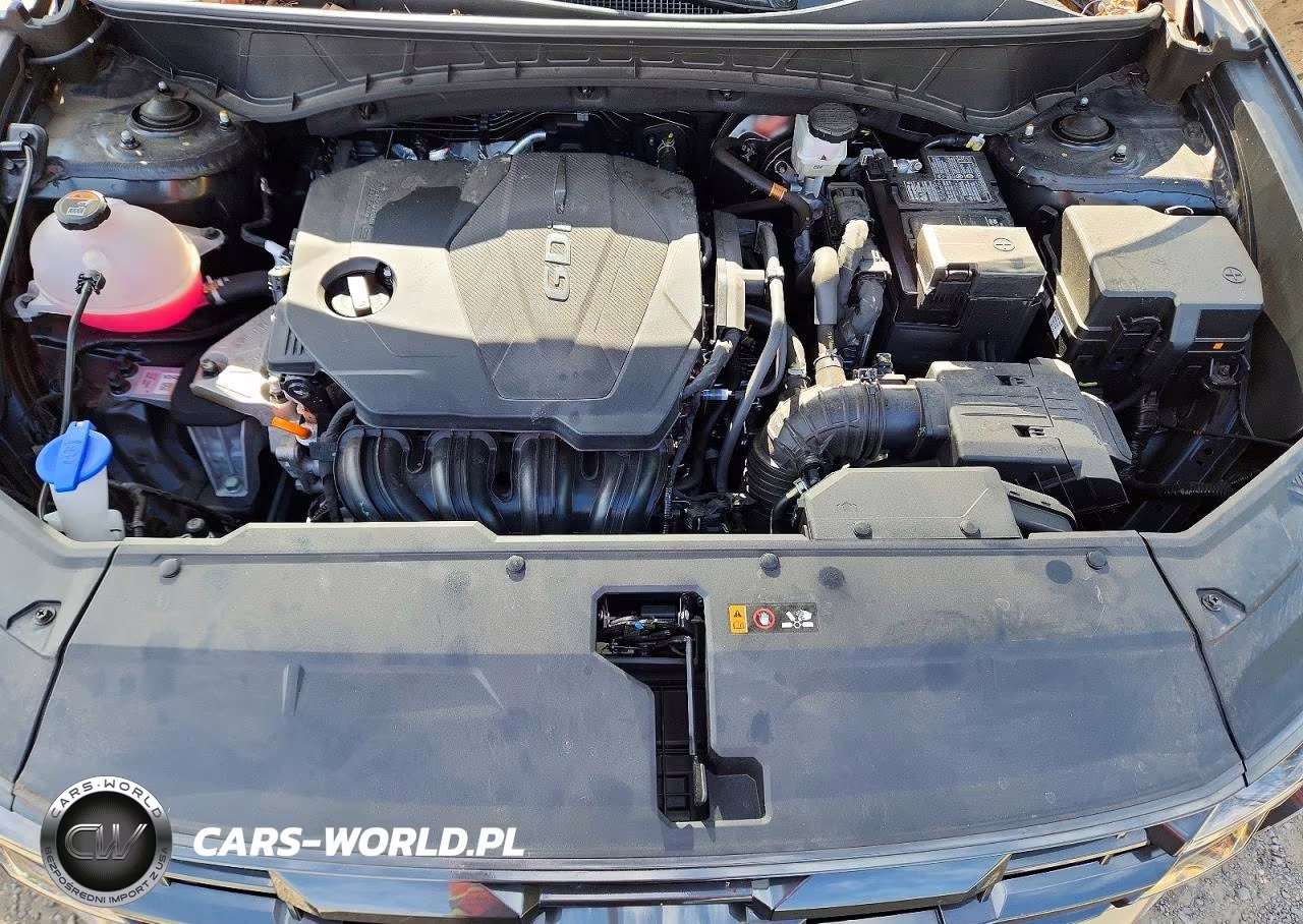 2025 Hyundai Tucson Sel VIN:5NMJBCDE0SH601580 - 12