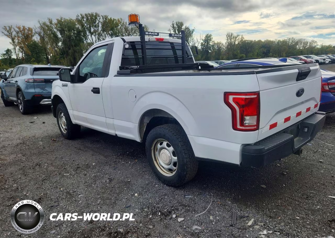 2015 Ford F150 VIN:1FTMF1E87FKE53226 - 2