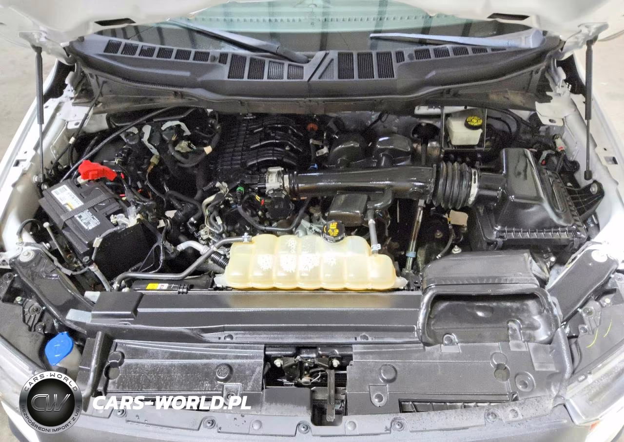 2021 Ford F150 VIN:1FTMF1CB5MKE69887 - 11