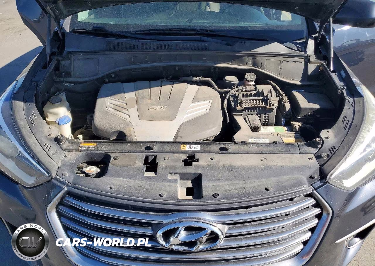 2017 Hyundai Santa Fe Se VIN:KM8SM4HF6HU254728 - 12