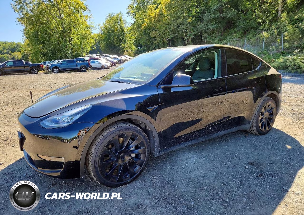 2023 Tesla Model Y VIN:7SAYGDEE3PF613397 - 1