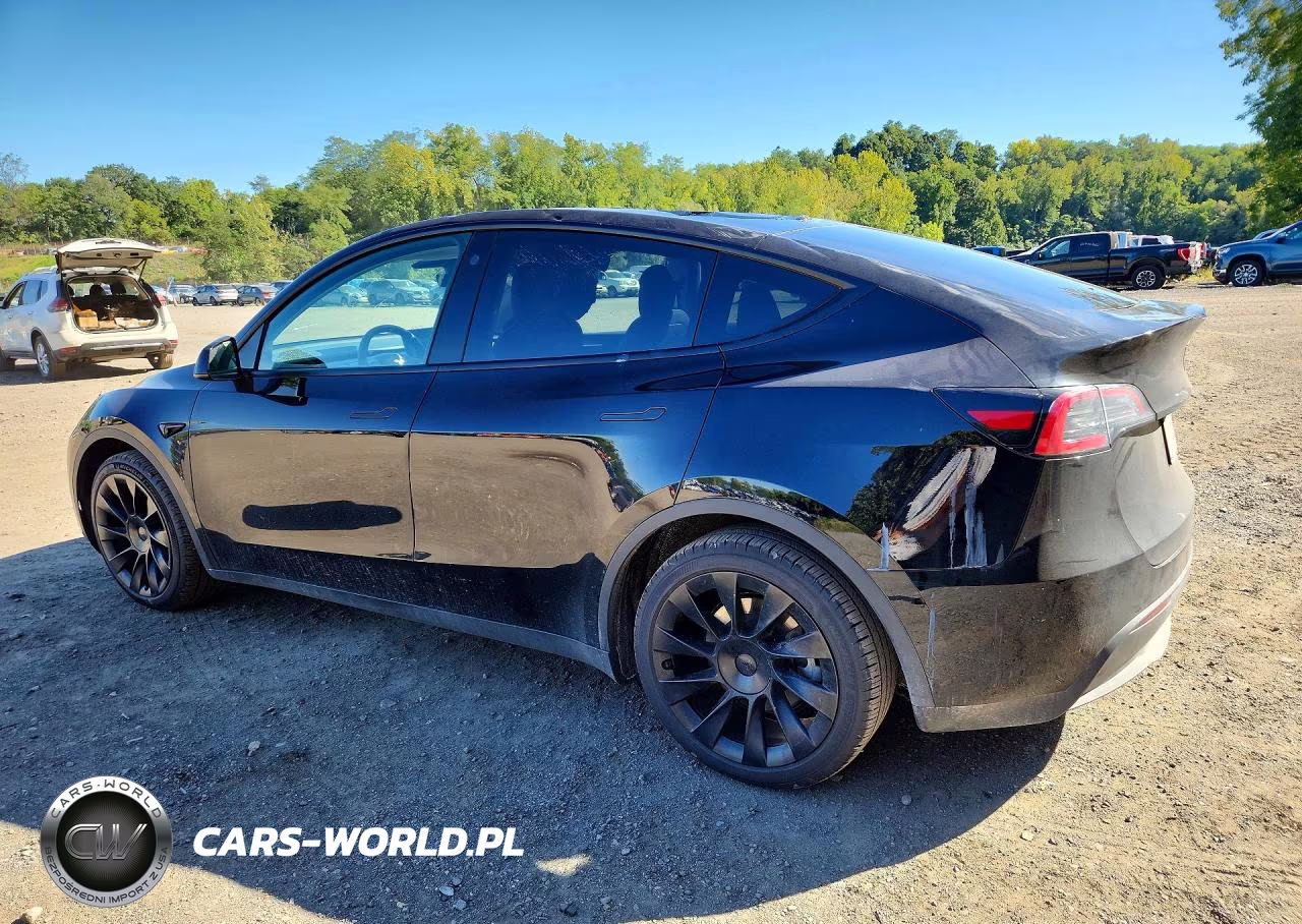 2023 Tesla Model Y VIN:7SAYGDEE3PF613397 - 2
