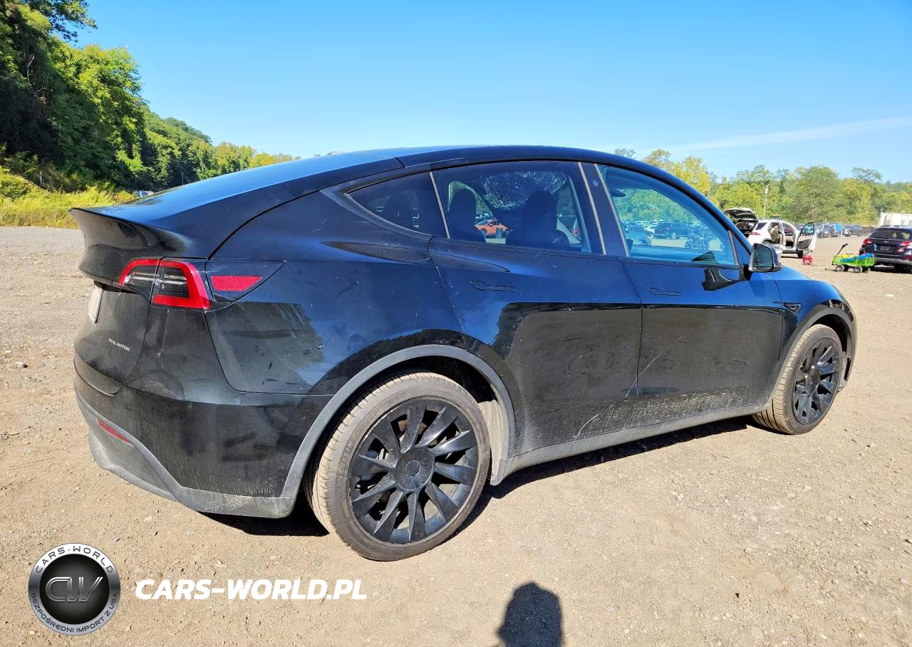 2023 Tesla Model Y VIN:7SAYGDEE3PF613397 - 3