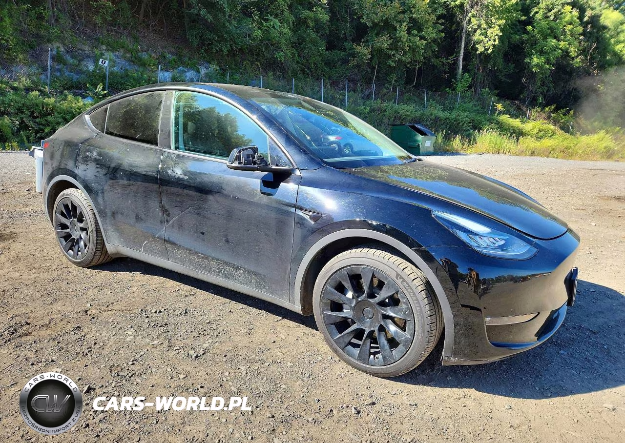 2023 Tesla Model Y VIN:7SAYGDEE3PF613397 - 4