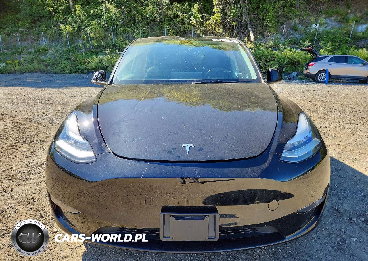 2023 Tesla Model Y VIN:7SAYGDEE3PF613397 - 5