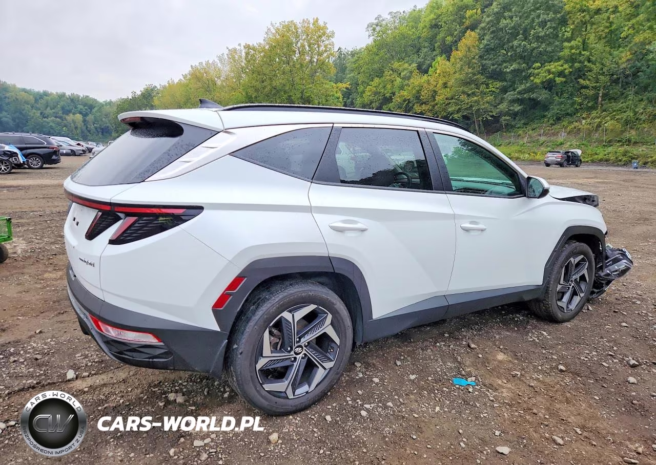 2024 Hyundai Tucson Sel Convenience VIN:KM8JCCD16RU190159 - 3