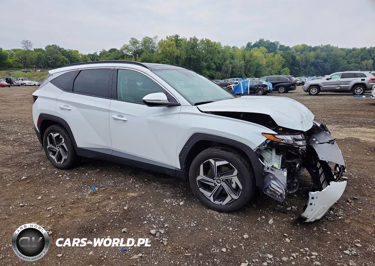 2024 Hyundai Tucson Sel Convenience VIN:KM8JCCD16RU190159 - 4