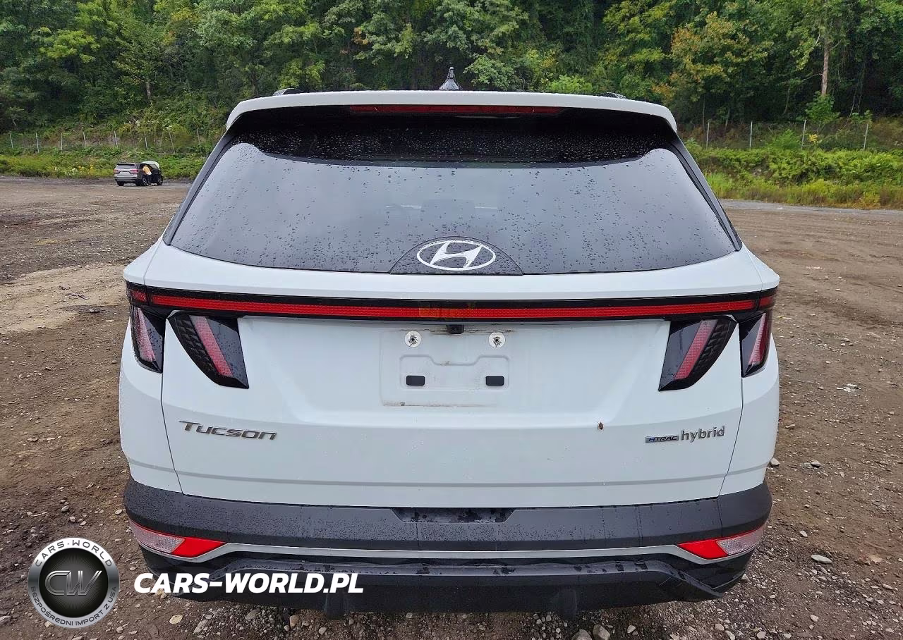 2024 Hyundai Tucson Sel Convenience VIN:KM8JCCD16RU190159 - 6