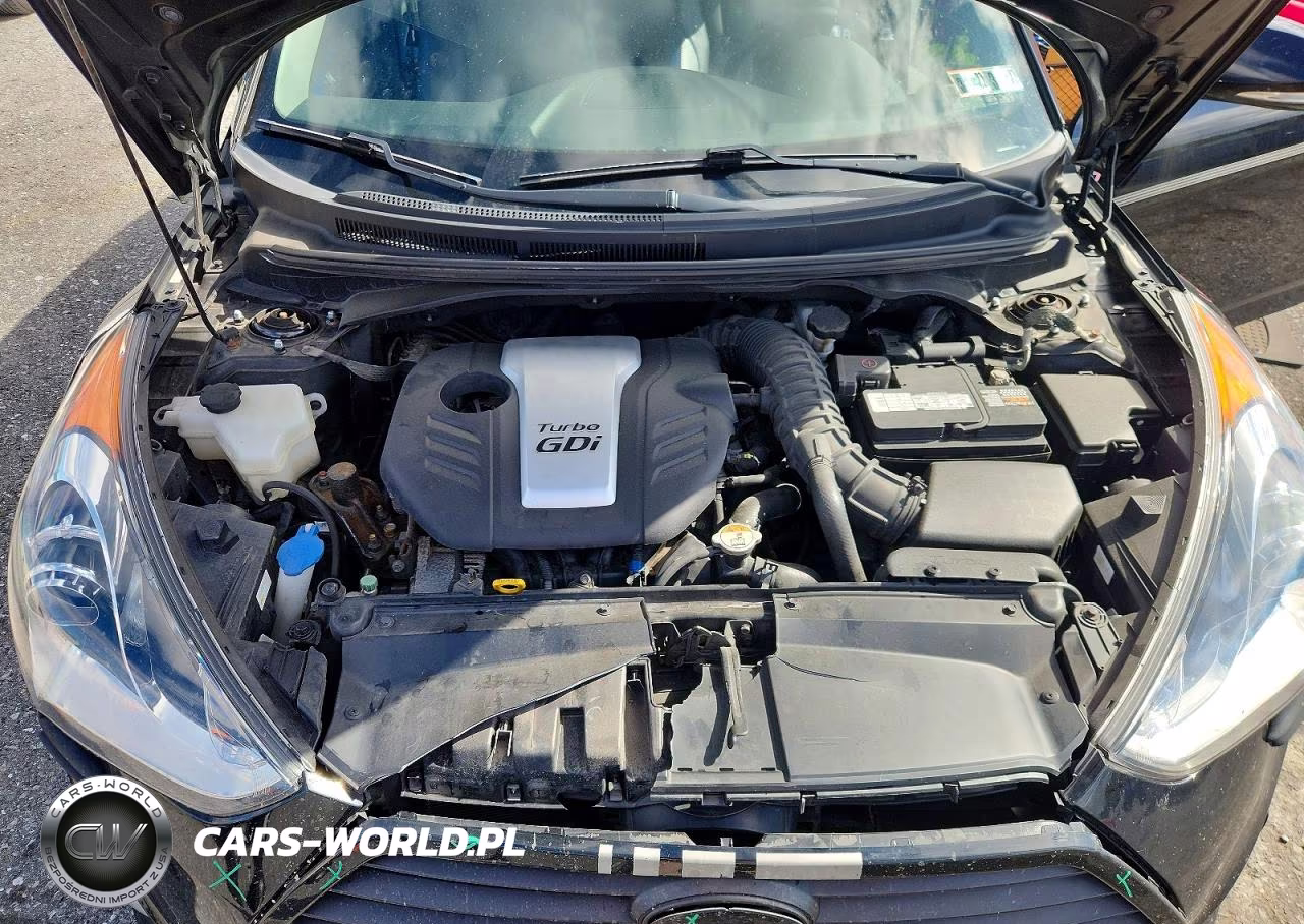 2013 Hyundai Veloster Turbo VIN:KMHTC6AE8DU125467 - 11