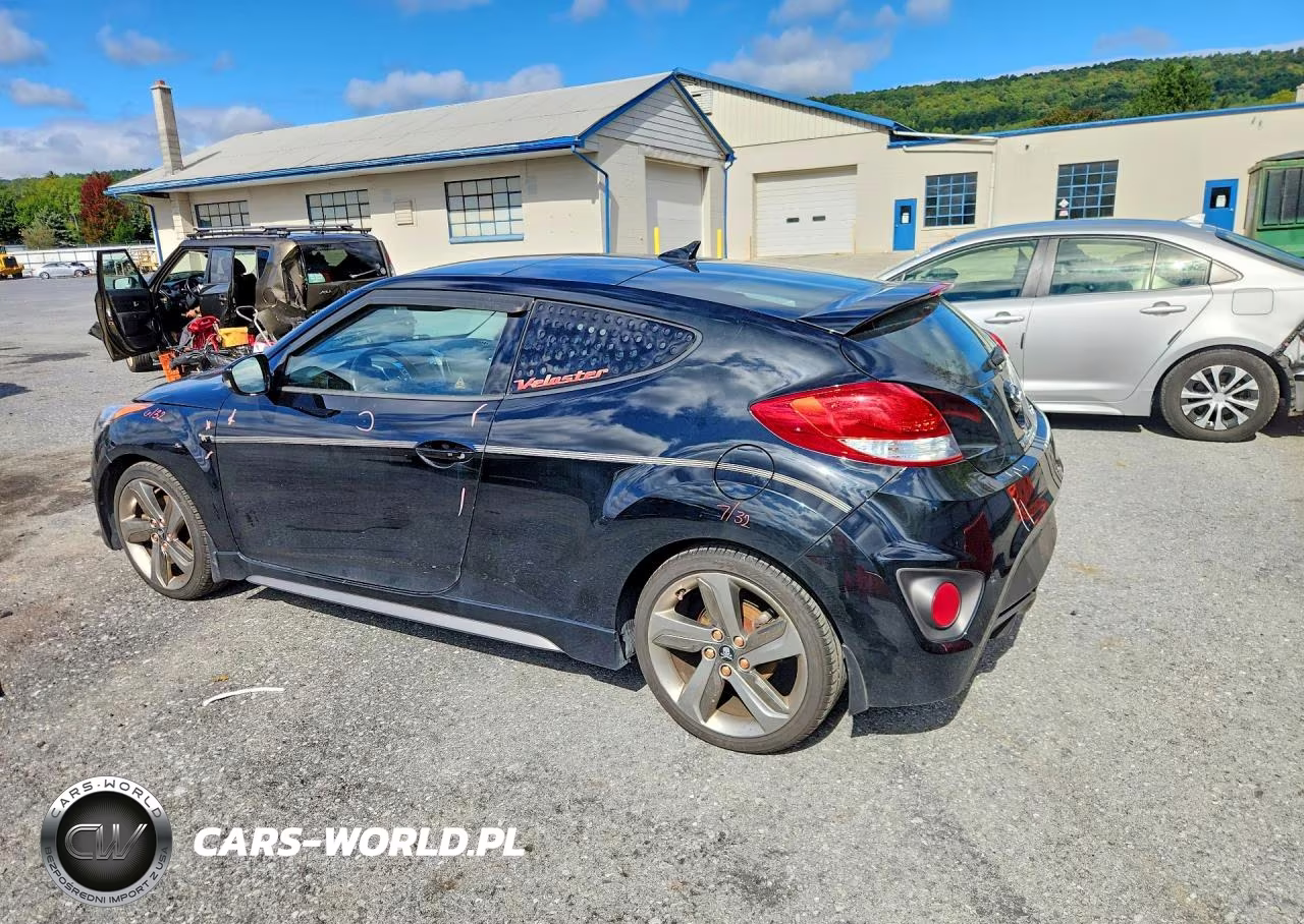 2013 Hyundai Veloster Turbo VIN:KMHTC6AE8DU125467 - 2
