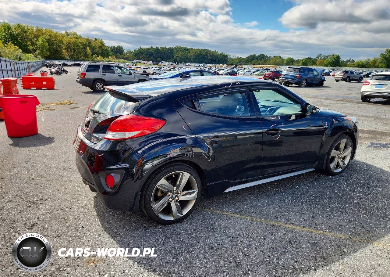 2013 Hyundai Veloster Turbo VIN:KMHTC6AE8DU125467 - 3