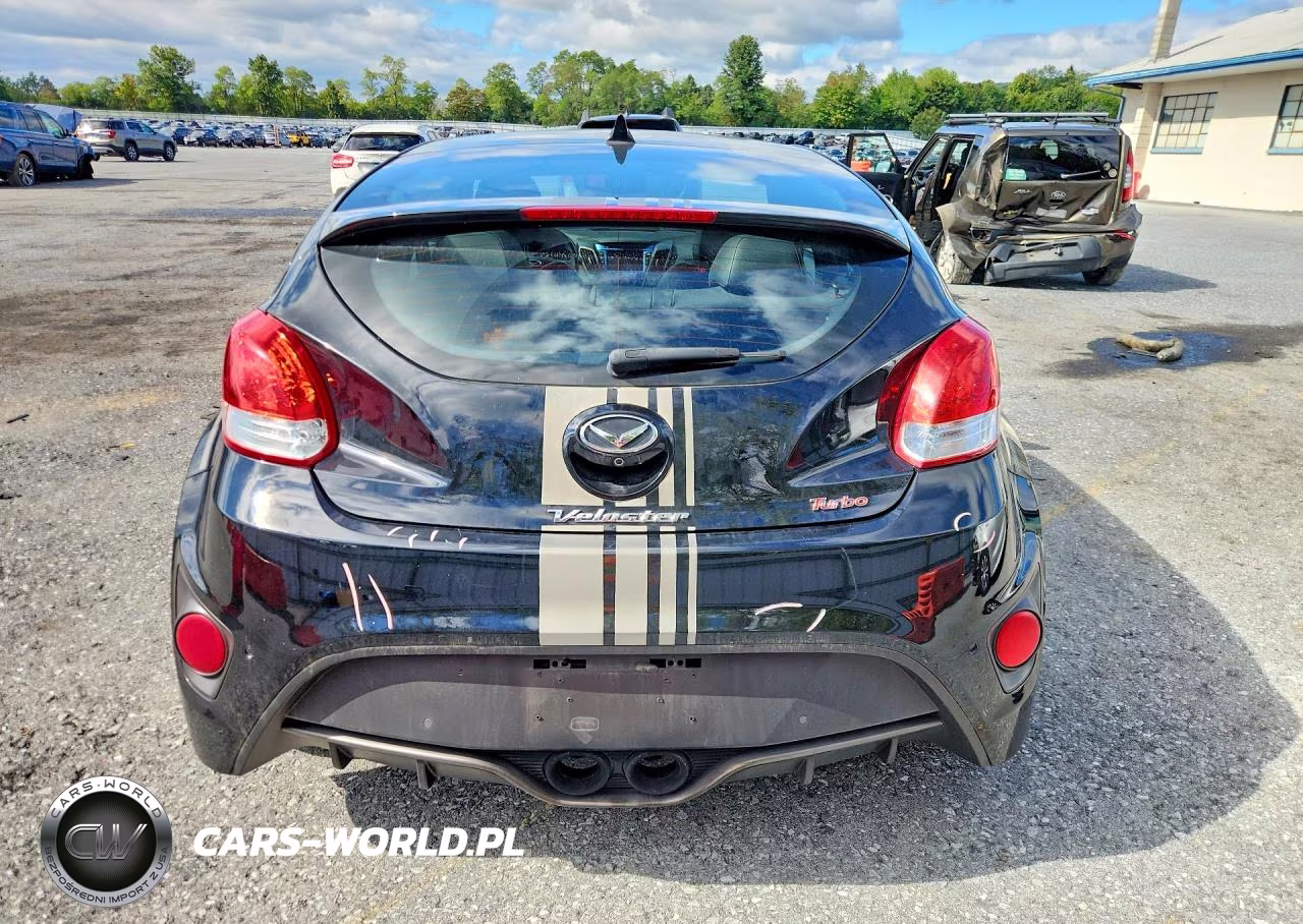 2013 Hyundai Veloster Turbo VIN:KMHTC6AE8DU125467 - 6