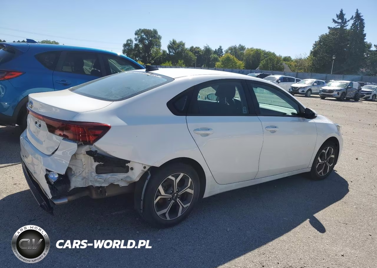 2020 Kia Forte Lxs VIN:3KPF24AD6LE189133 - 3