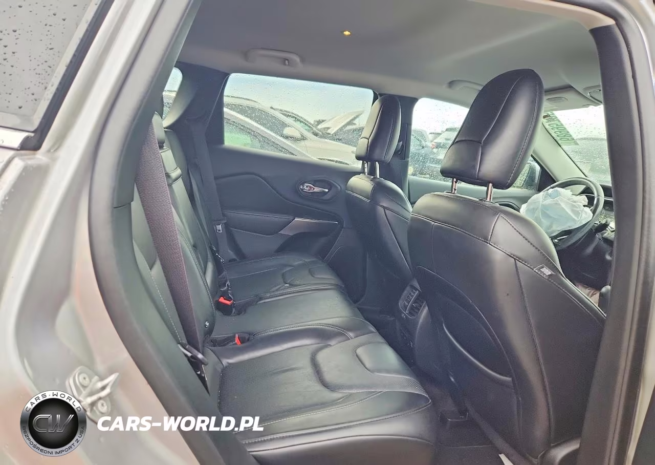 2019 Jeep Cherokee Limited VIN:1C4PJMDX9KD209954 - 10