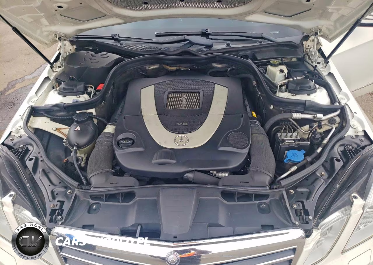 2010 Mercedes-Benz E 550 4Matic VIN:WDDHF9AB8AA138859 - 11