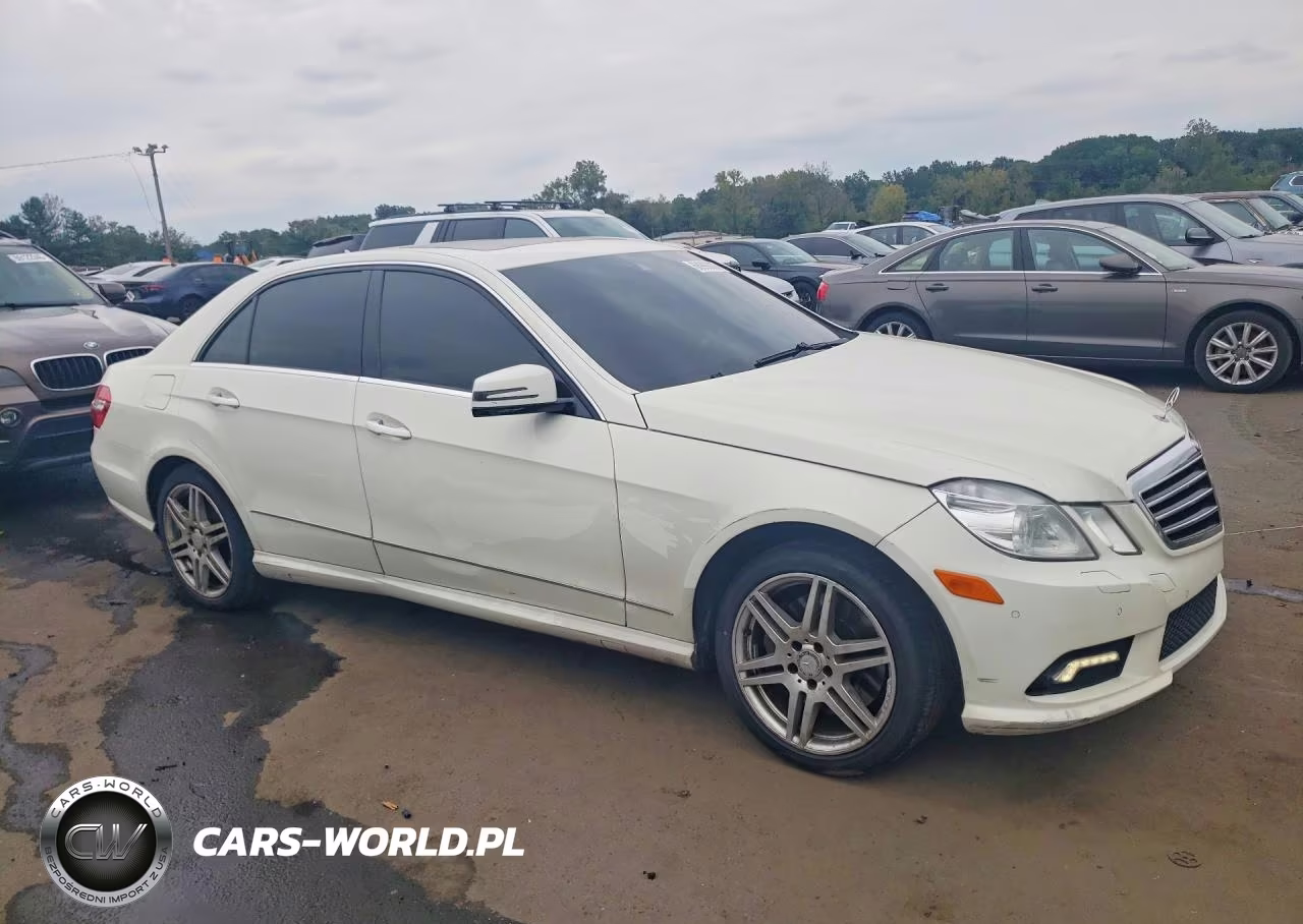 2010 Mercedes-Benz E 550 4Matic VIN:WDDHF9AB8AA138859 - 4