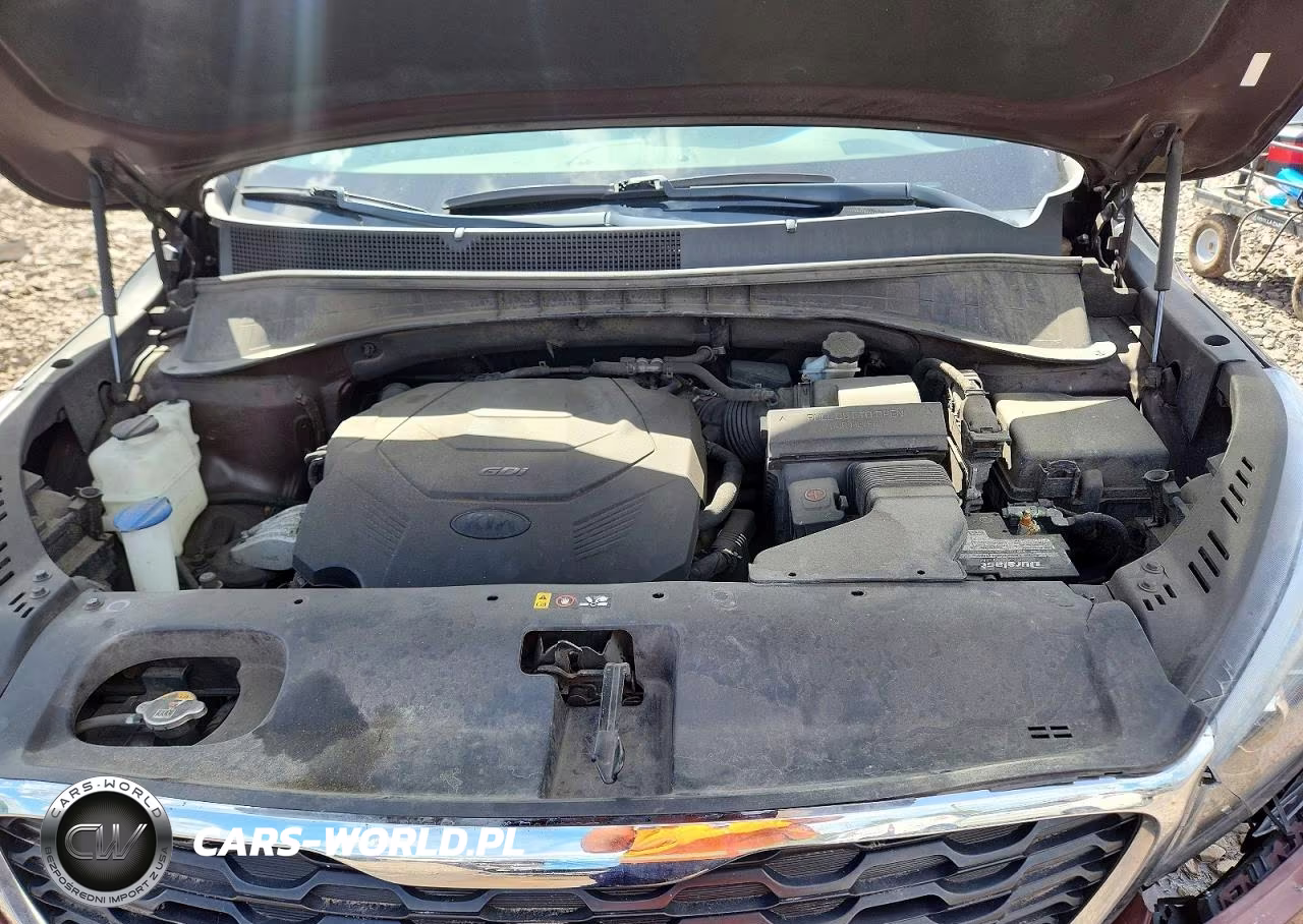 2019 Kia Sorento Lx V6 VIN:5XYPG4A59KG484095 - 12