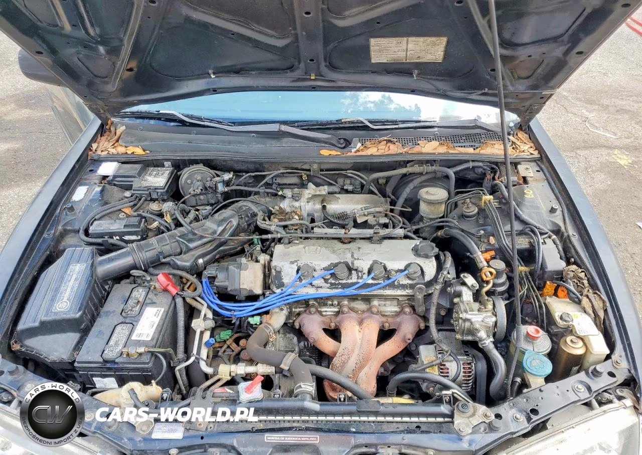 1994 Honda Accord Ex VIN:1HGCD5667RA114497 - 11