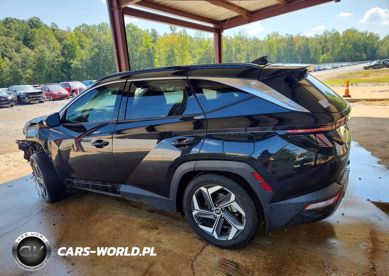 2022 Hyundai Tucson Limited VIN:5NMJE3AE8NH114465 - 2