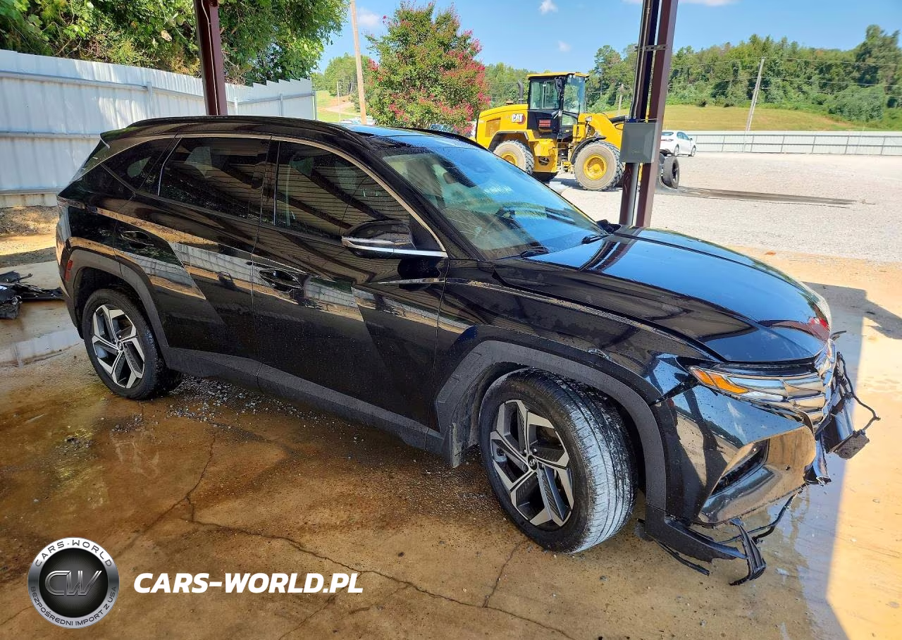 2022 Hyundai Tucson Limited VIN:5NMJE3AE8NH114465 - 4