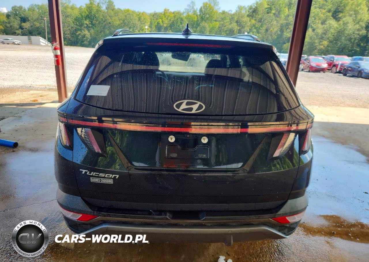 2022 Hyundai Tucson Limited VIN:5NMJE3AE8NH114465 - 6