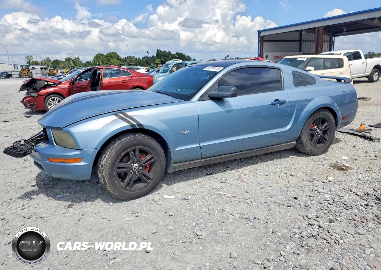 2005 Ford Mustang VIN:1ZVFT80N655136457 - 1