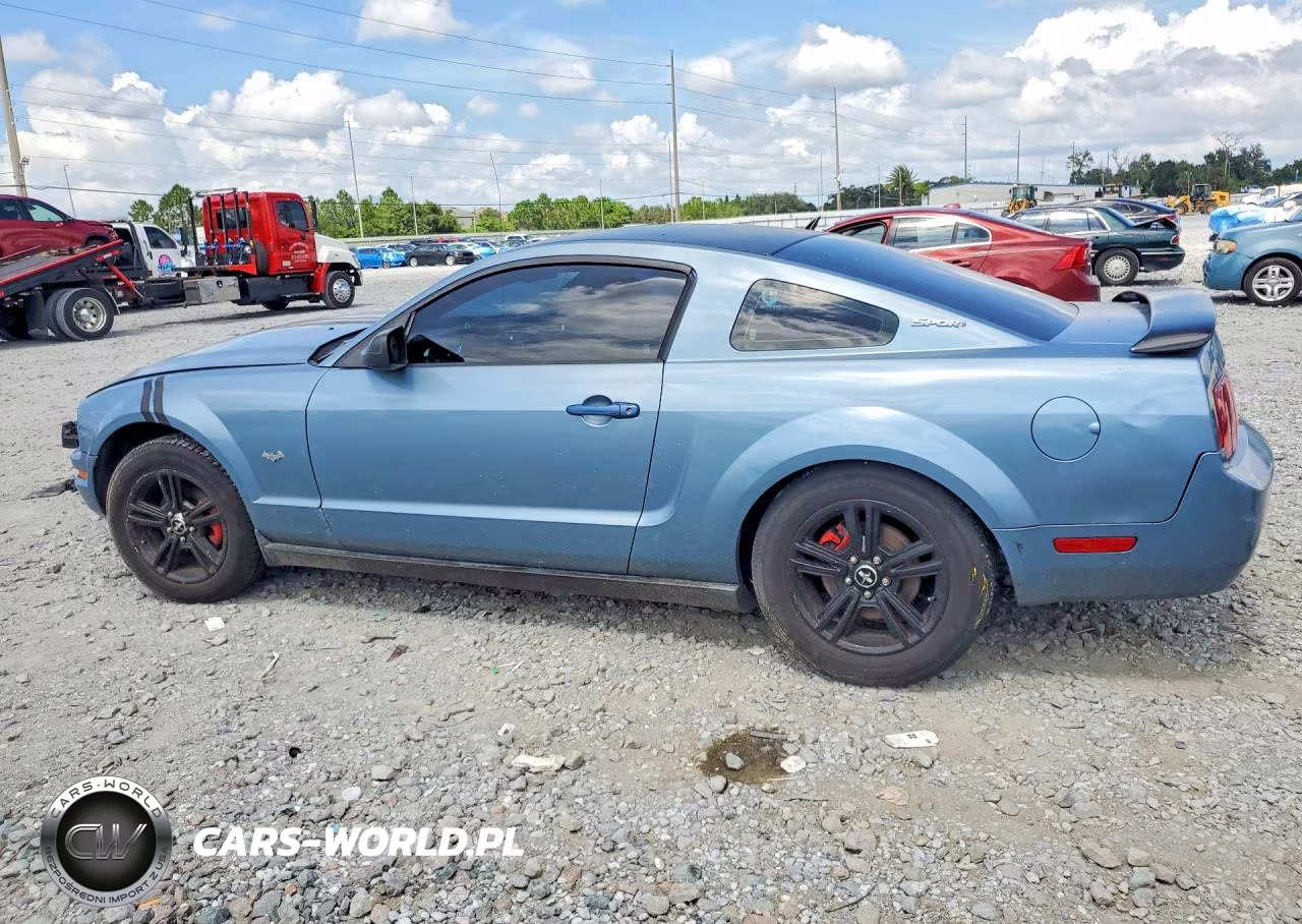 2005 Ford Mustang VIN:1ZVFT80N655136457 - 2