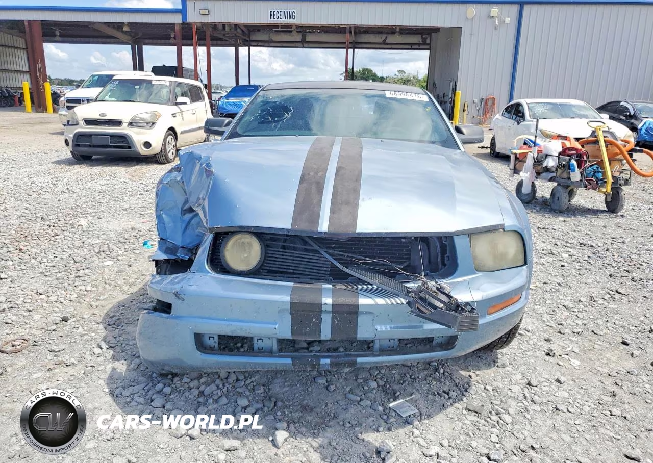 2005 Ford Mustang VIN:1ZVFT80N655136457 - 5