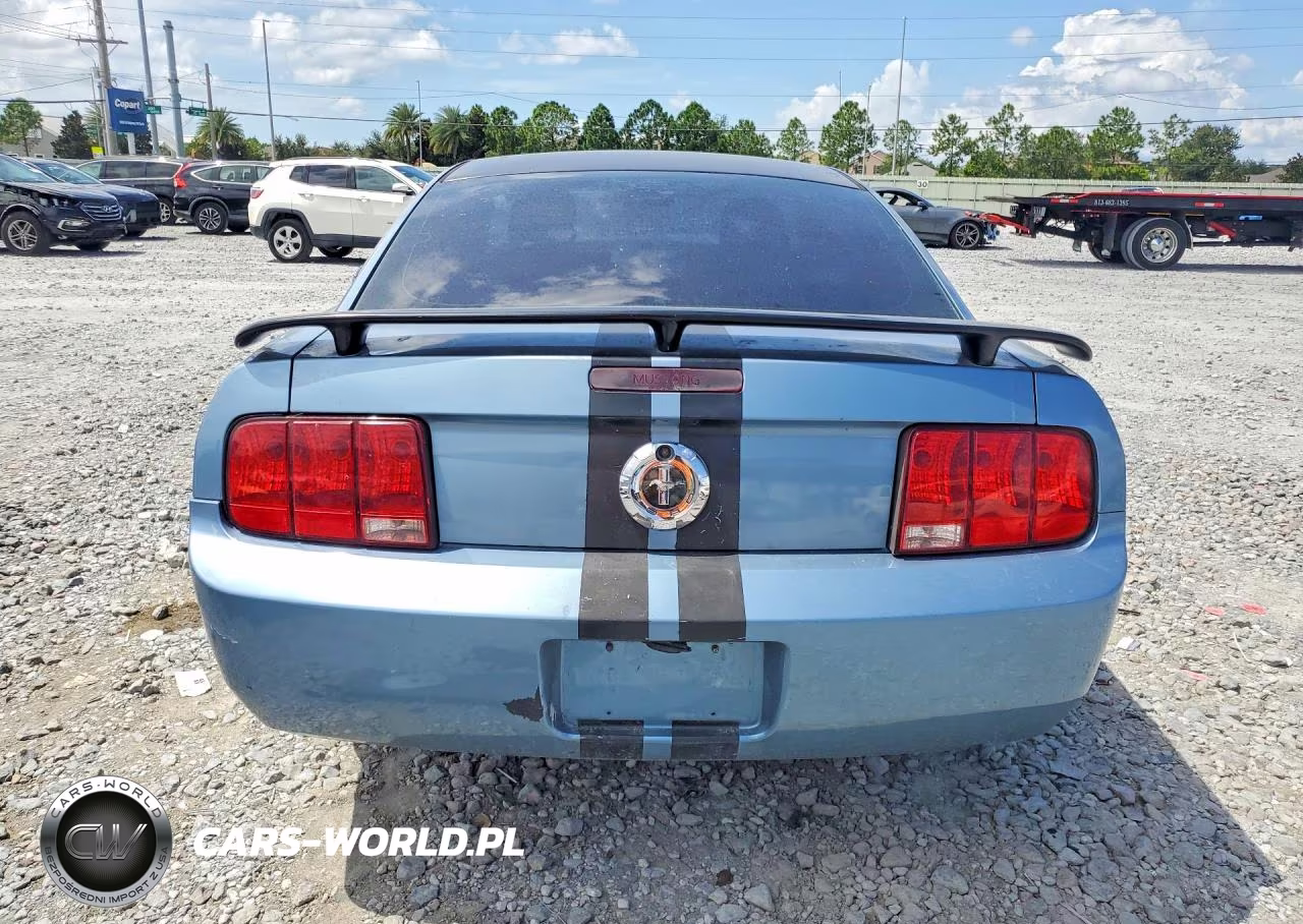2005 Ford Mustang VIN:1ZVFT80N655136457 - 6