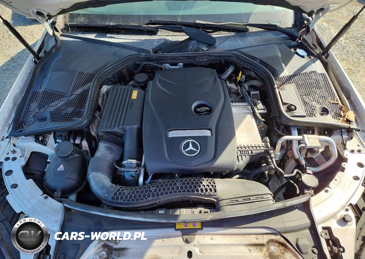 2017 Mercedes-Benz C 300 VIN:55SWF4JB1HU195411 - 11