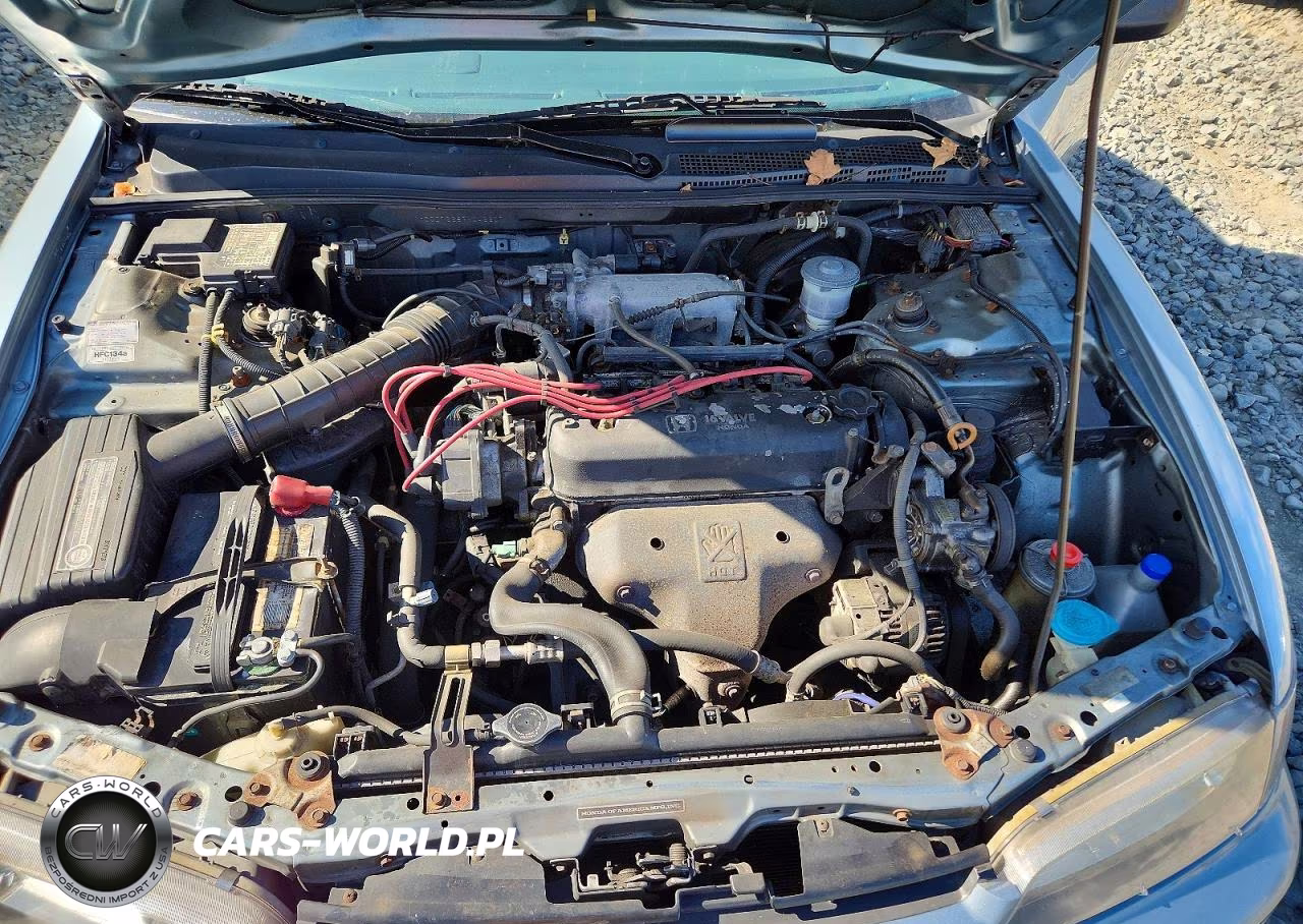 1994 Honda Accord Dx VIN:1HGCD7228RA042207 - 11