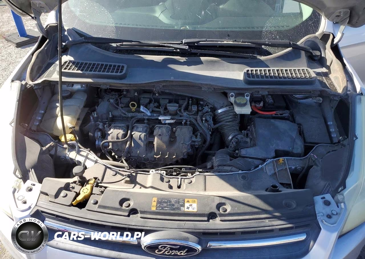 2014 Ford Escape Se VIN:1FMCU0G95EUE53497 - 12