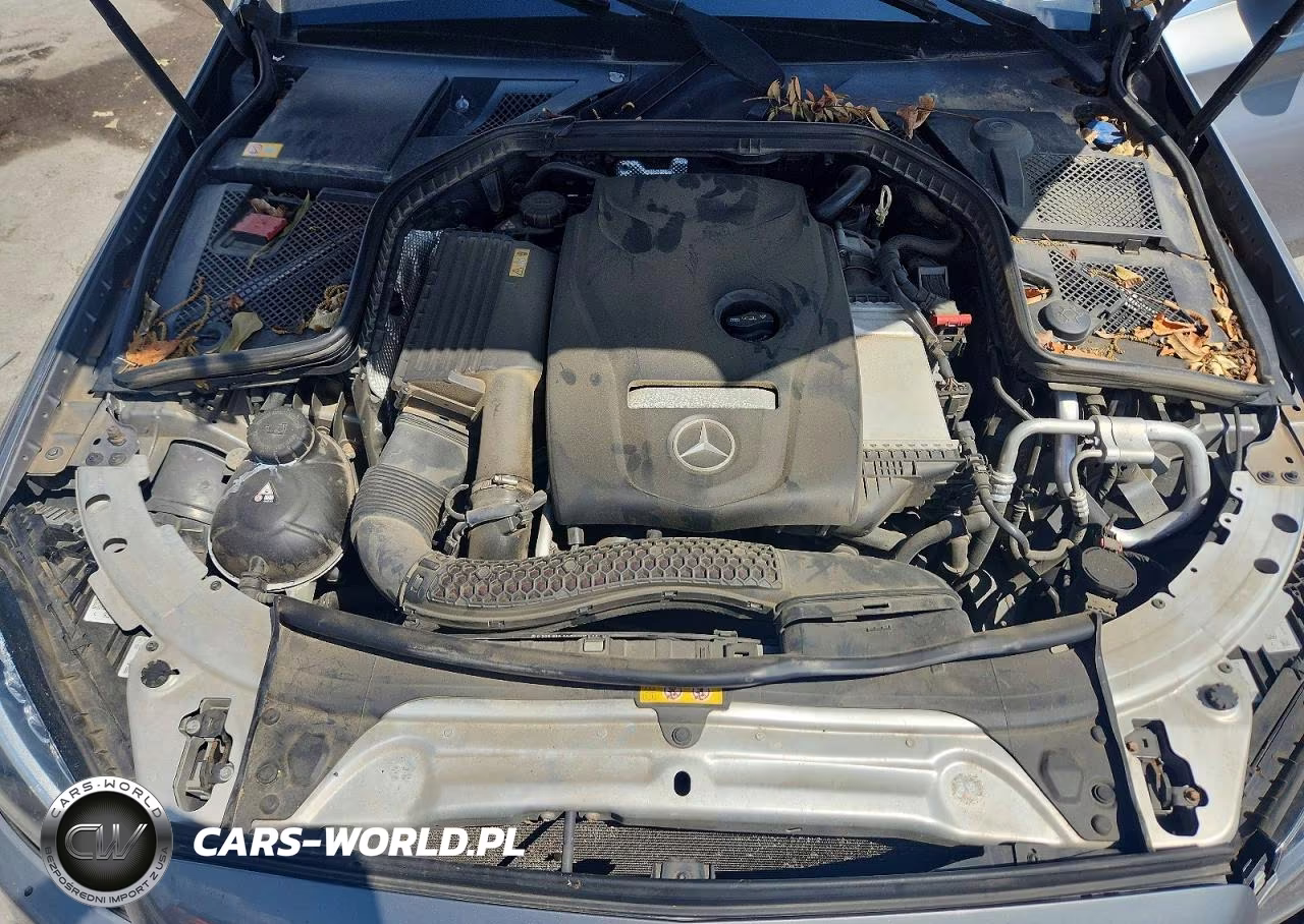 2015 Mercedes-Benz C 300 4Matic VIN:55SWF4KB6FU014590 - 11