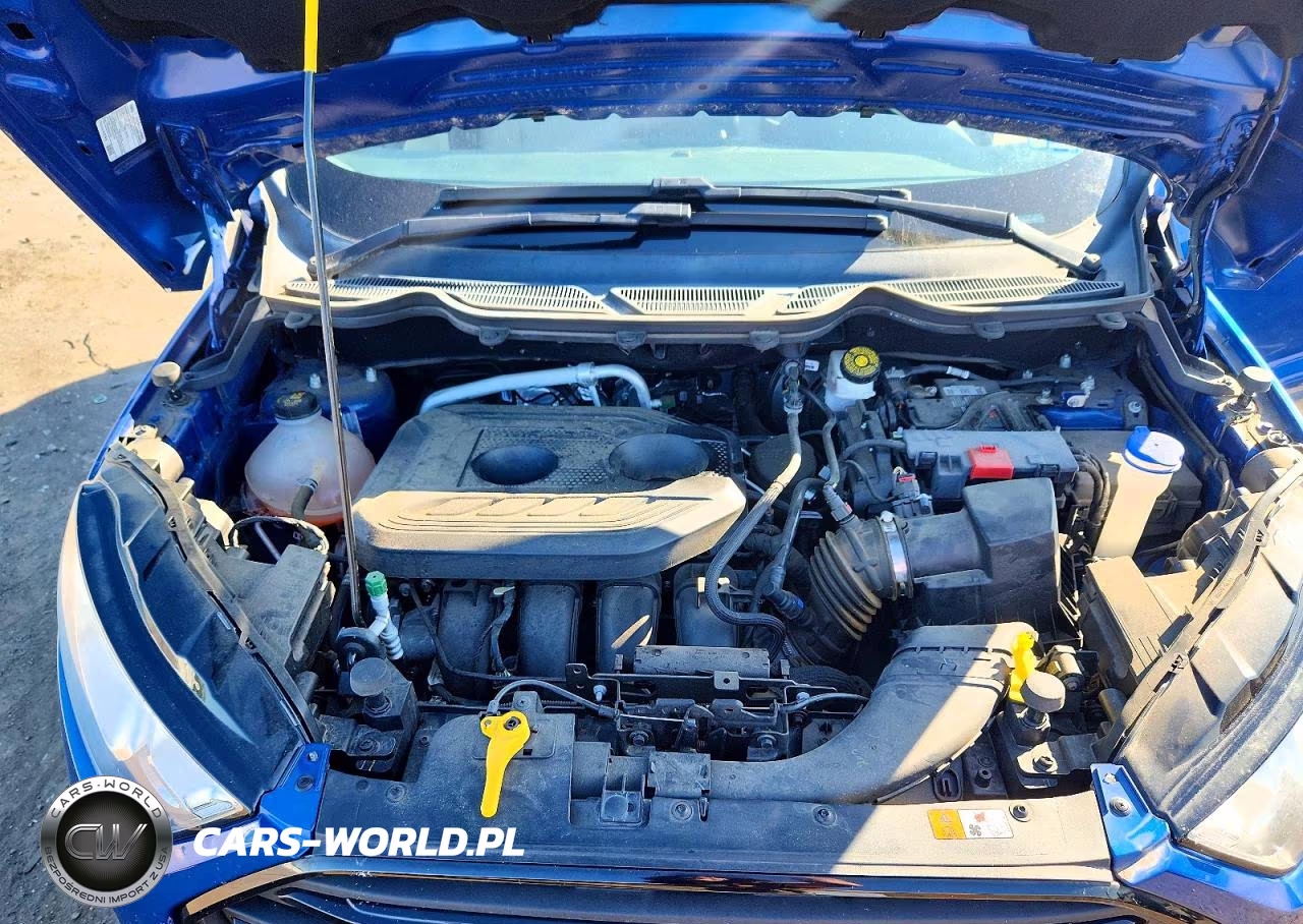 2019 Ford Ecosport S VIN:MAJ6S3FL5KC286149 - 12