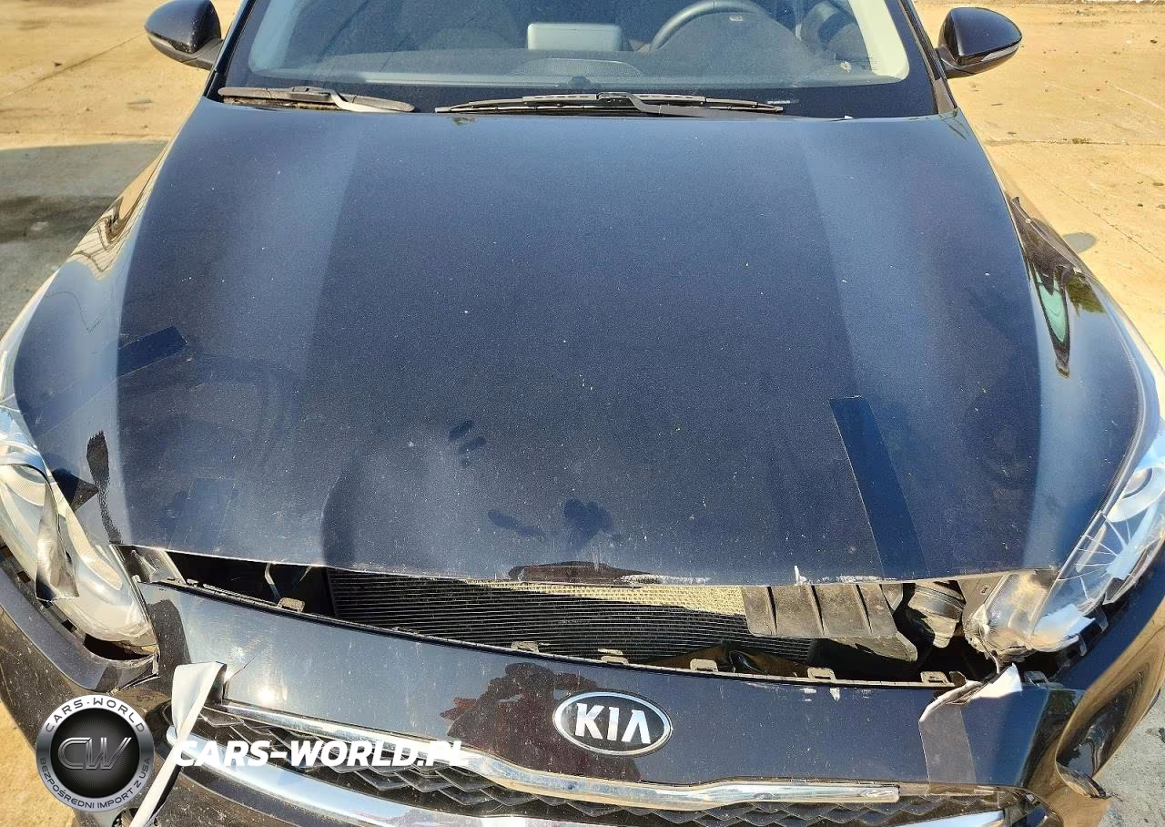 2020 Kia Forte Ex VIN:3KPF54ADXLE232699 - 11