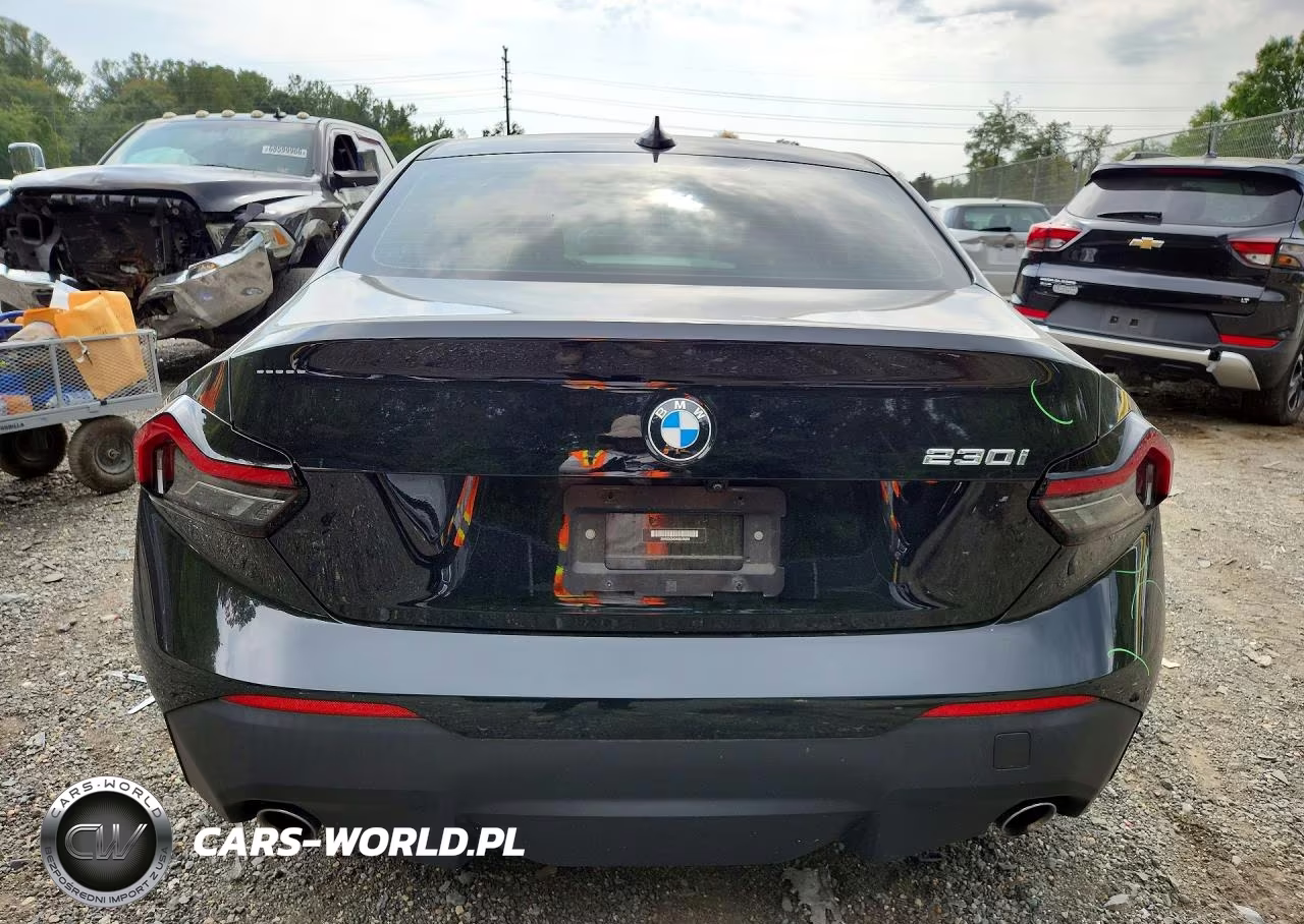2022 BMW 230I VIN:3MW23CM04N8C46698 - 6