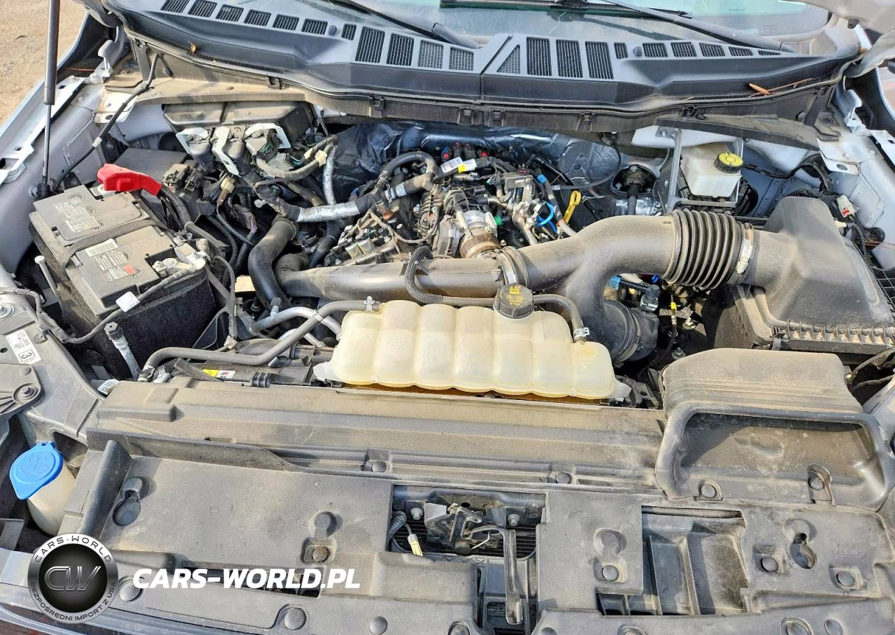 2024 Ford F150 Xlt VIN:1FTEW3KP7RFC23310 - 11