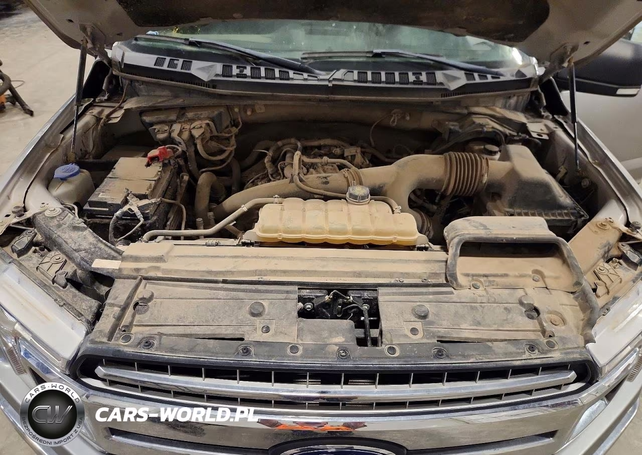 2020 Ford F150 Supercrew VIN:1FTEW1EP5LKE95739 - 11