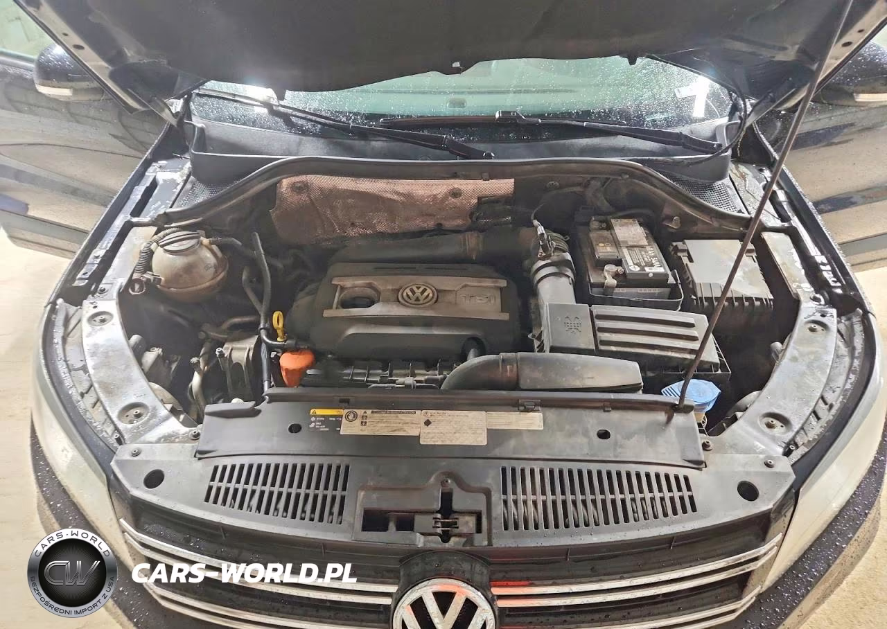 2014 Volkswagen Tiguan S VIN:WVGAV3AXXEW501383 - 12