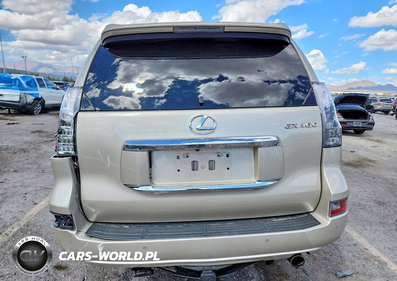 2016 Lexus Gx 460 Premium VIN:JTJJM7FX1G5121491 - 6