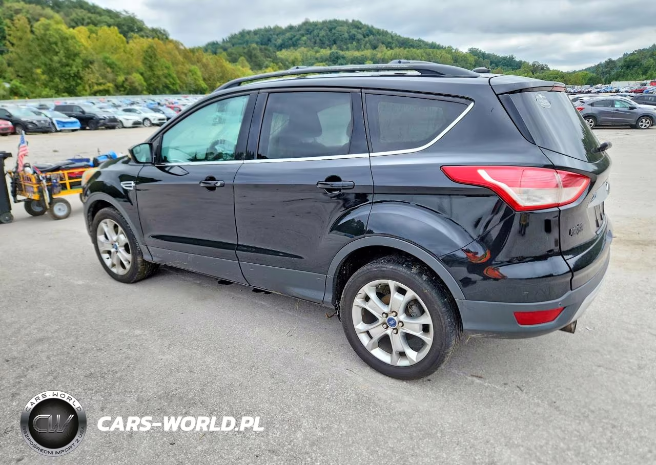 2013 Ford Escape Sel VIN:1FMCU9H94DUD05116 - 2