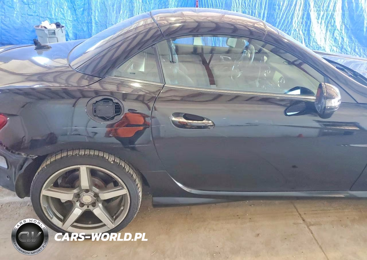 2015 Mercedes-Benz Slk 250 VIN:WDDPK4HA9FF111087 - 10
