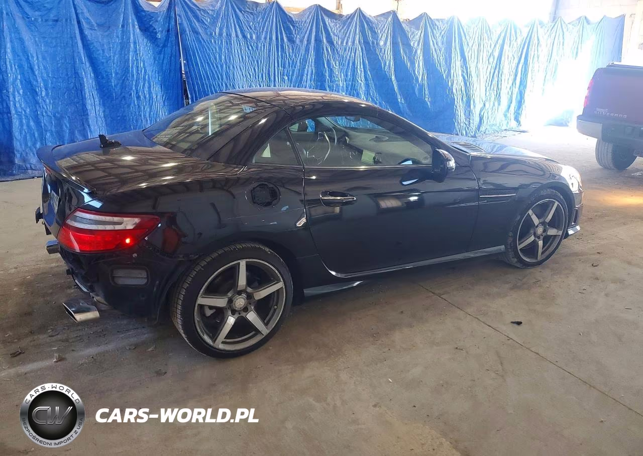 2015 Mercedes-Benz Slk 250 VIN:WDDPK4HA9FF111087 - 3