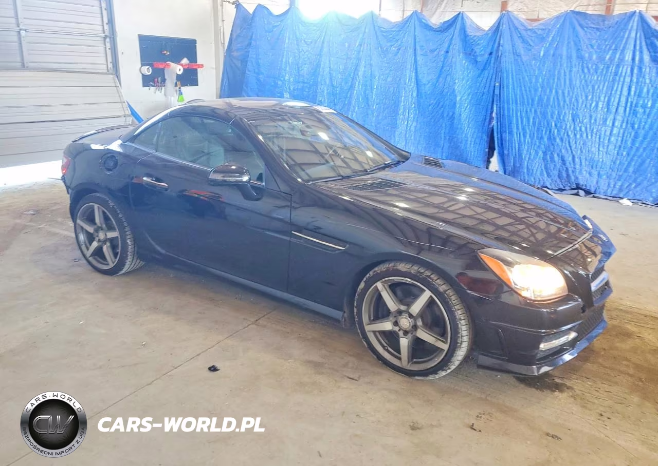 2015 Mercedes-Benz Slk 250 VIN:WDDPK4HA9FF111087 - 4