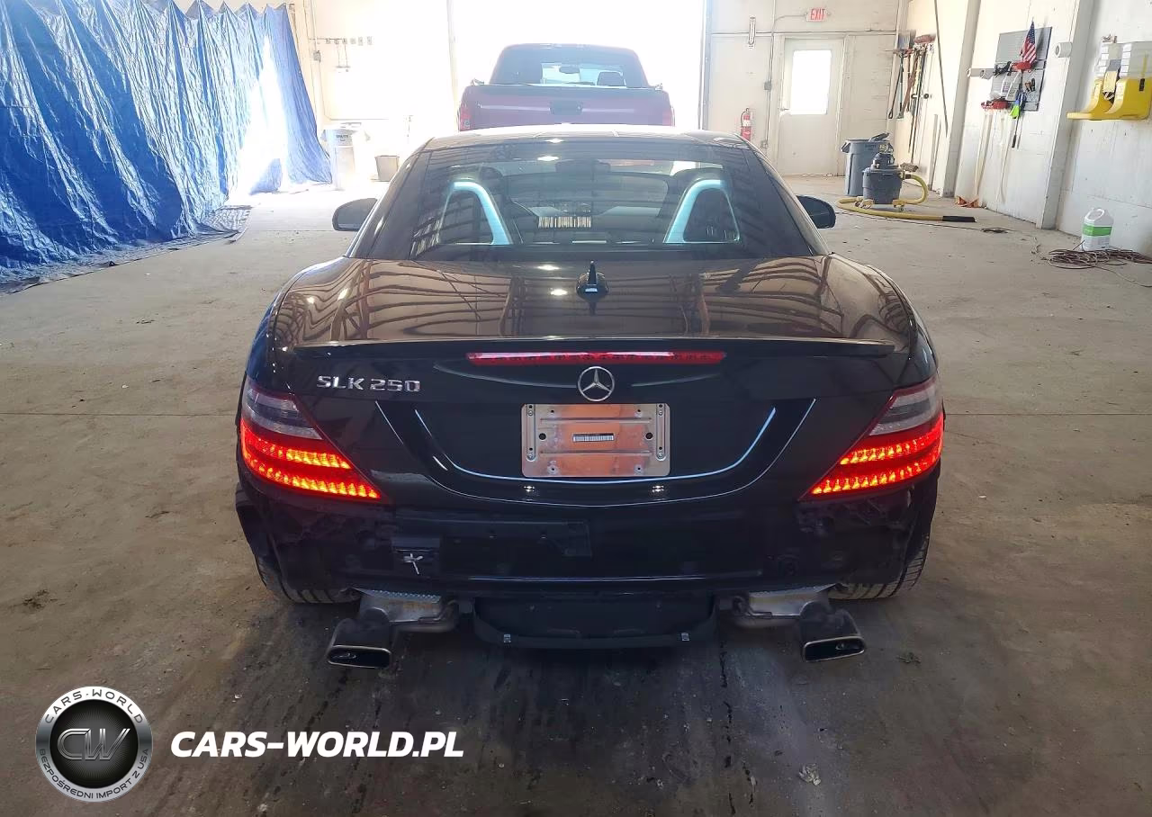 2015 Mercedes-Benz Slk 250 VIN:WDDPK4HA9FF111087 - 6