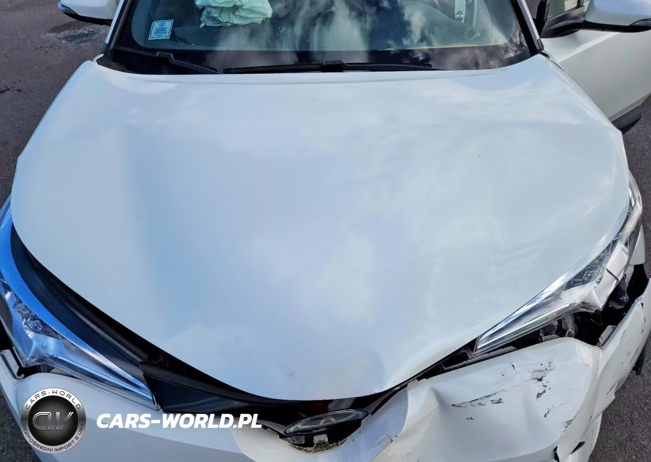 2019 Toyota C-Hr Le VIN:JTNKHMBX5K1039694 - 11