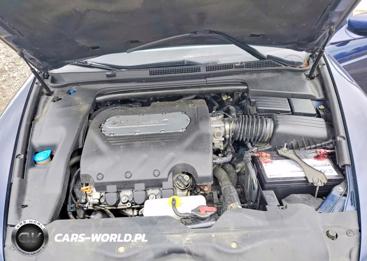 2006 Acura 3.2Tl VIN:19UUA662X6A051018 - 11