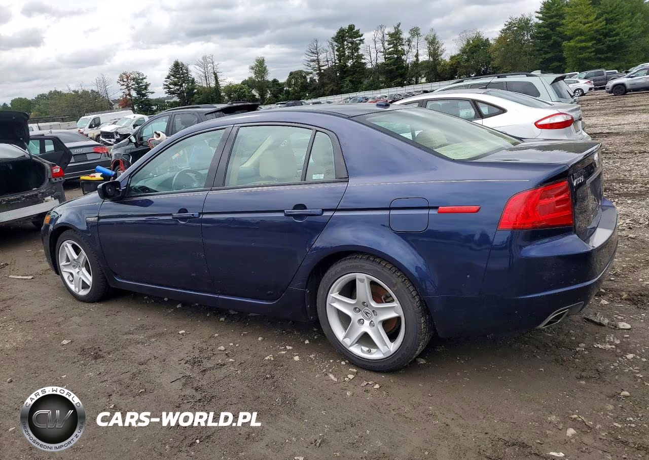 2006 Acura 3.2Tl VIN:19UUA662X6A051018 - 2
