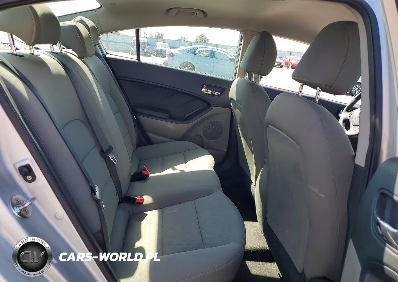 2016 Kia Forte Lx VIN:KNAFK4A67G5449409 - 10